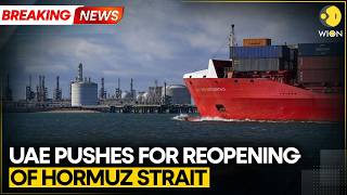 Breaking | FT Report: UAE Pushing for Creation of Hormuz Security Force | WION