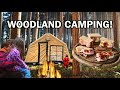 Hot tent family wild camping  new years eve in the woods