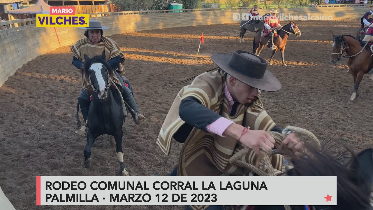 Rodeo comunal, Corral La Laguna #Palmilla 2023 - YouTube