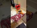 Who’s underwear? #animal #funny #animalfunny #comedy #plushie #trending #travel #shorts #muppet #lol