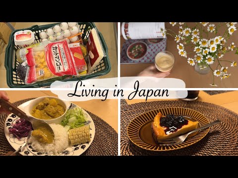 a day have fun in my kitchen | bake yogurt cake, make curry and smoothie