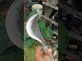 blacksmith's craftwork: chopping knife #viral #handmade #craft #fyp #blacksmith #art