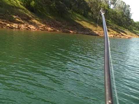 California Swimbait Fishing by Mesh Matt 4 17 09 Largemouth Bass