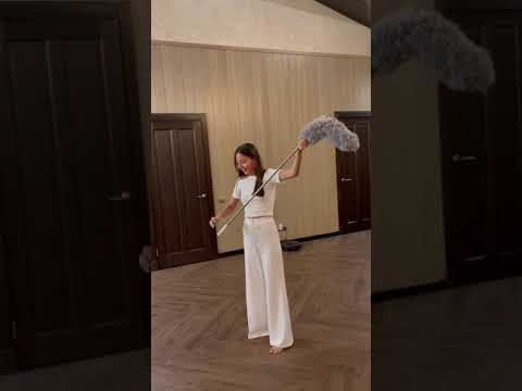 Щетка-сметка для пыли. Щетка-сметка для пыли.