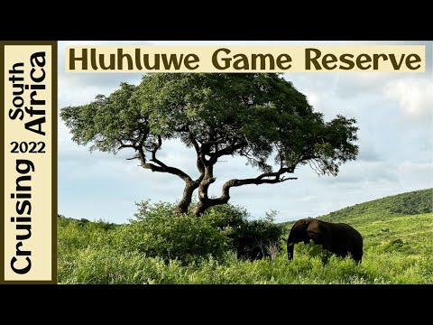 Hluhluwe Game Reserve | Richards Bay, South Africa | Big 5 Game Drive