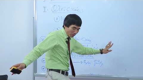 Ts  Lê Thẩm Dương   Quản trị cảm xúc - Bài 8 :  Đặc điểm của trí tuệ cảm xúc