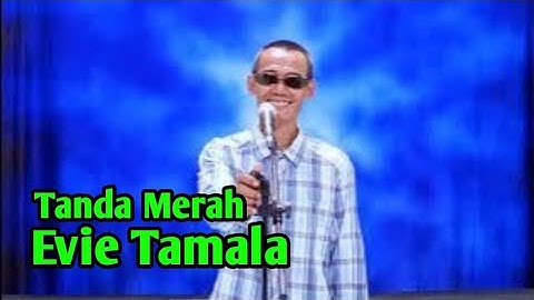 Tanda Merah Evie Tamala - Cover By Navi Domisol