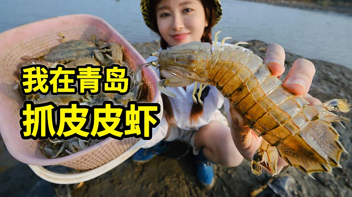 青島抓七彩皮皮蝦，趕海2小時能抓幾隻？一招教你輕鬆吃！| 青島 | 皮皮蝦 | 趕海 | 螃蟹 | 海鮮 | 山東 | - 天天要聞