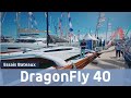 Dragonfly 40