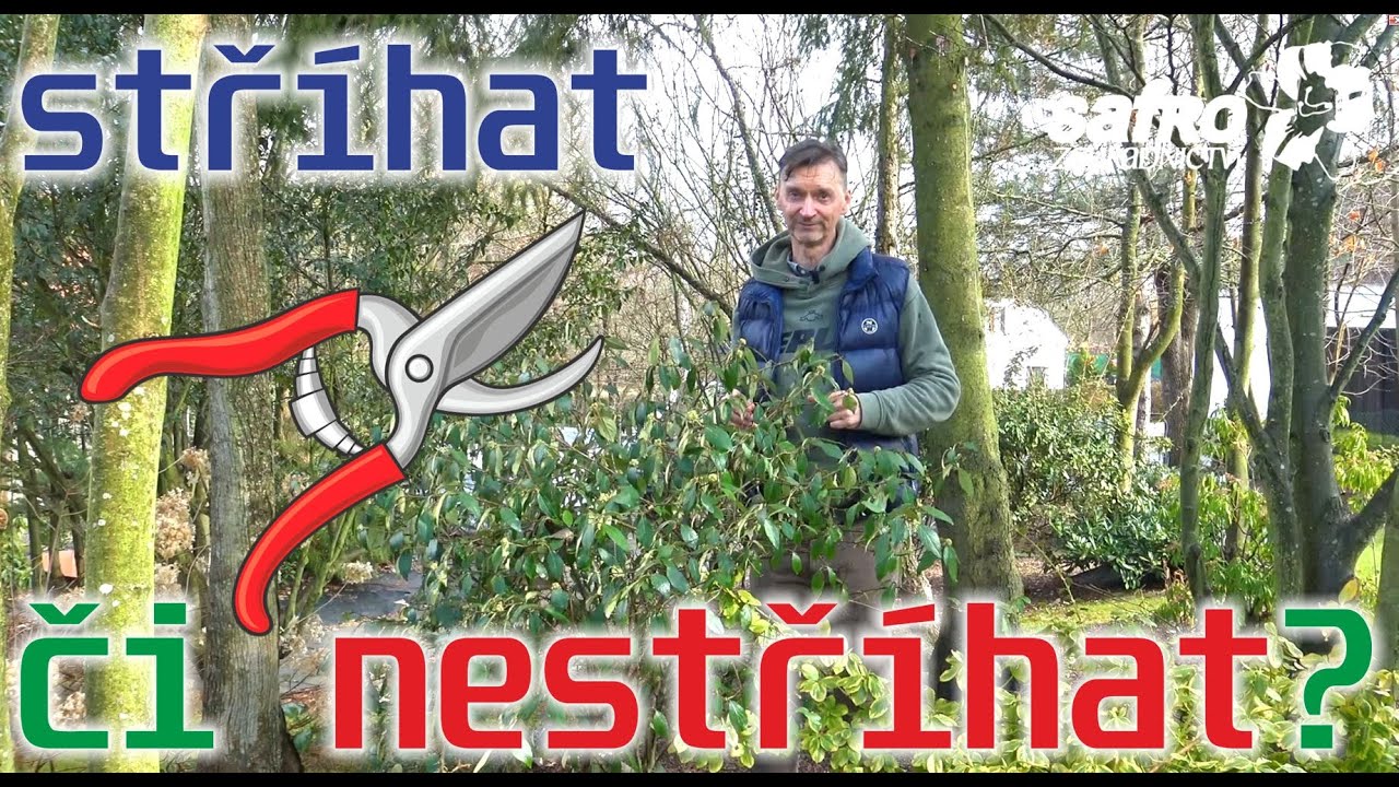 ✂🌳🌾Jak a co stříhat a čistit na zahradě hned zjara? 🌾🌳✂