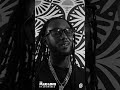 Grace &amp; Grit  Louinskee - Plug Love