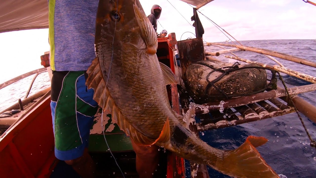 How to catch a Longnose Emperor or Dugso YouTube