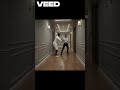 A Modern Othello Story: Othello Confronts Iago