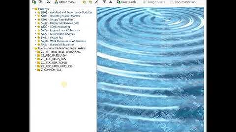 Locking and Unlocking User in SAP #Shorts