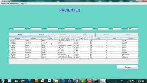 Proyecto Final de Desarrollo de Software-Sustentación