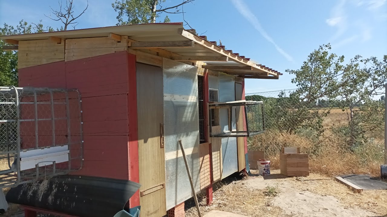 Palomas mensajeras, palomar del norte.