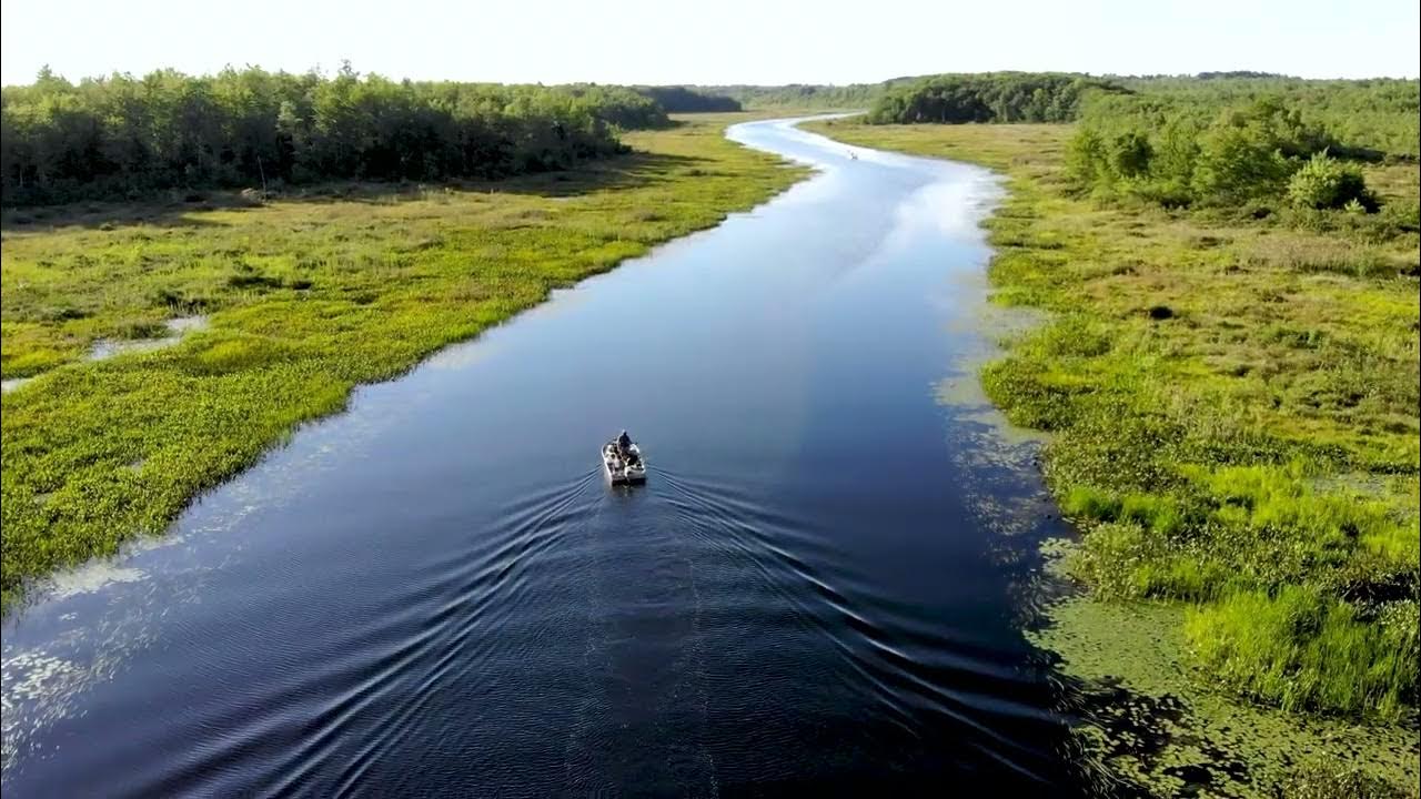 Pushaw Lake Inlet, Hudson Maine Drone Footage YouTube