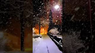 Kurtlar Vadisi Pusu _ Dayan Kalbim