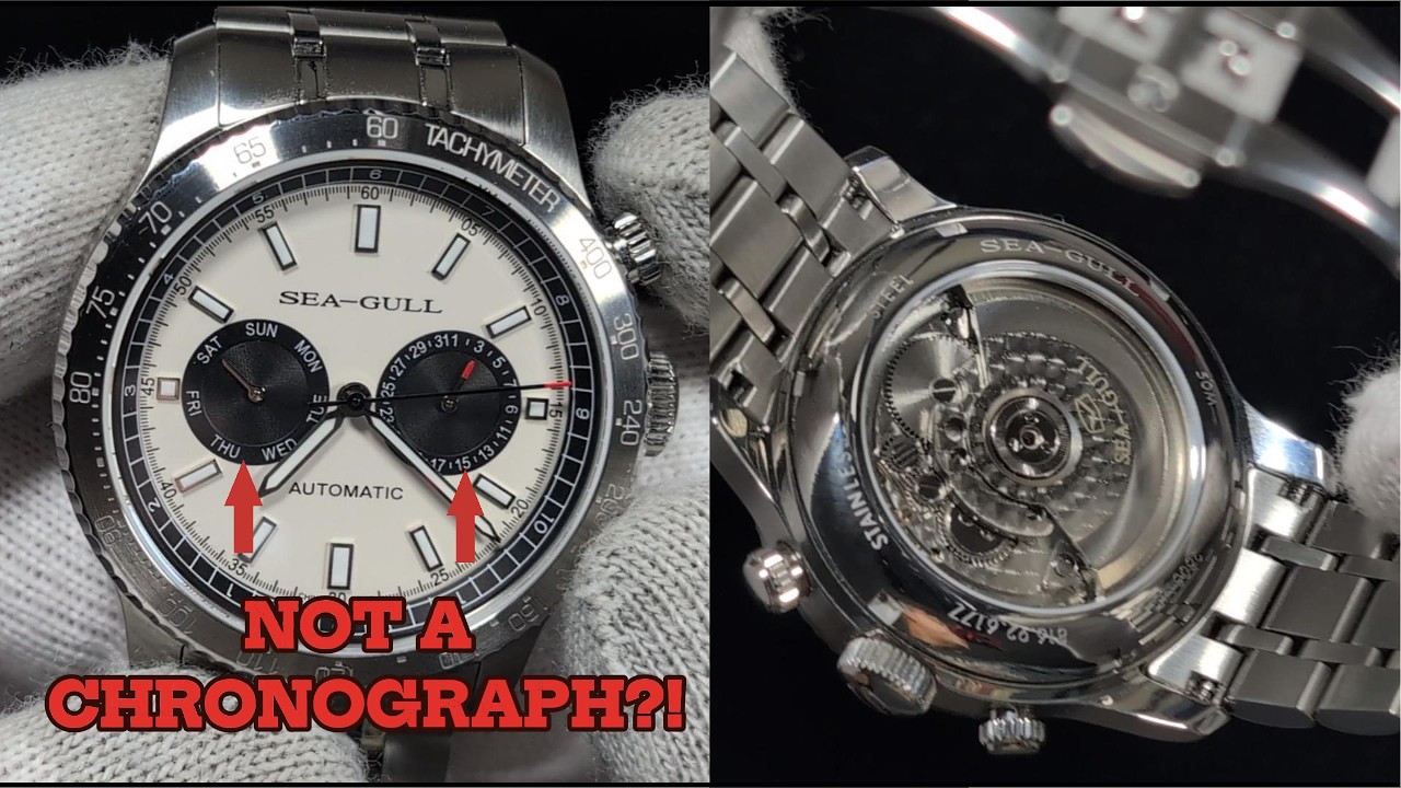 Sea-Gull Panda 6177 Review | An AliExpress Sale, $165 Automatic
