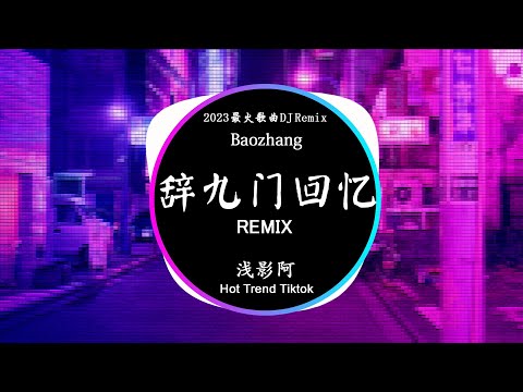 Khúc Cửu Môn Hồi Ức 辞九门回忆 - 浅影阿 (DJ抖音 Remix) 【動態歌詞/Pinyin Lyrics】『戲子多秋，可憐一處情深舊。』Hot Douyin Tiktok