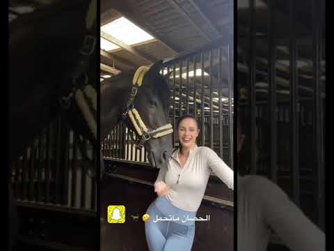 الحصان ماتحمل