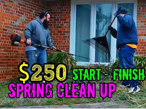 $250 SPRING LAWN CLEAN UP RECAP - SATISFYING - LAWN CARE TIPS FOR BUSINESS OWNERS