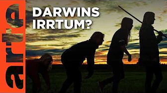 Darwin Express: Evolution in Rekordzeit | Doku HD| ARTE