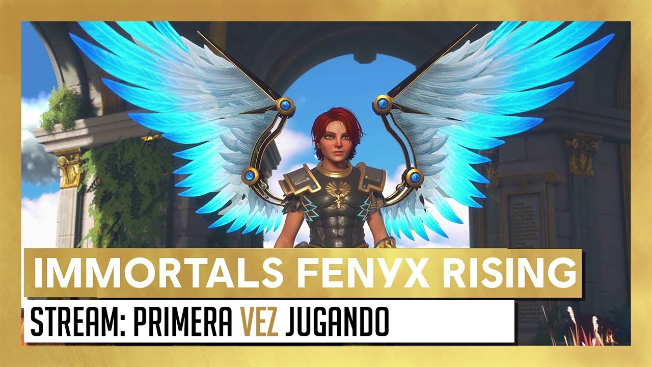 Fenix rising steam фото 83