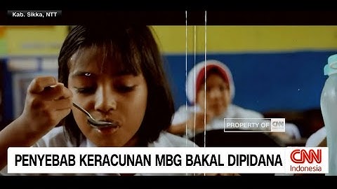 Penyebab Keracunan MBG Bakal Dipidana