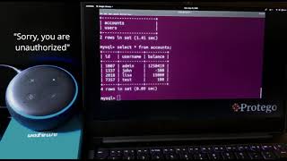 Alexa SQL Injection Hack Into Unsecured App