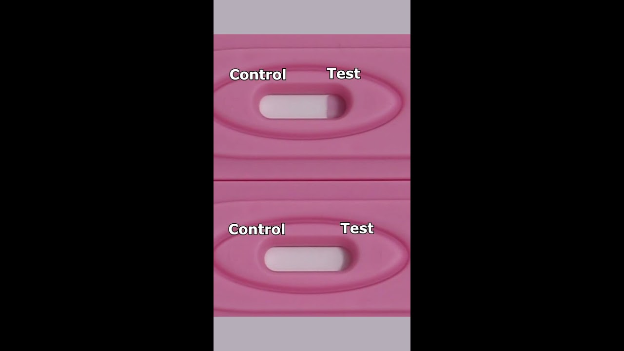 Positive Pregnancy TEST Vs Negative In 30 SECONDS Time Lapse Shorts