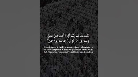 سورة ال عمران تلاوة #سعود_الشريم #تلاوة_خاشعة #تلاوات #قران_كريم #اكسبلور  #قرآن #fy #fyp #quran