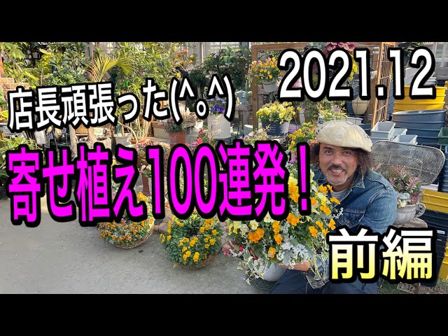 Mixed plantings] December 2021: 100 mixed plantings this year