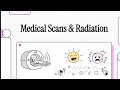 The Spectrum of Diagnostic Radiation Safety.