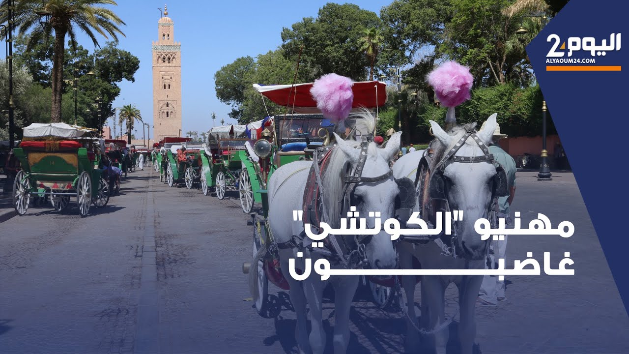 مراكش.. مهنيو 