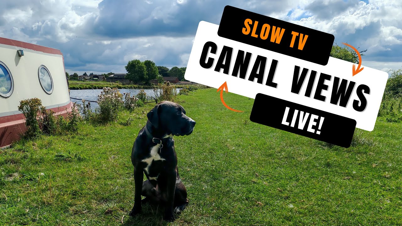 ⁣SLOW TV - Serene Canal Live Cam 🌿  Relaxing Waterway View for Stress Relief