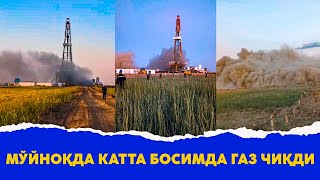 Муйнокда катта босимда газ сизиб чикди