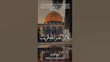 لا تحزن إن الله معنا  #سورة_التوبة  #قرآن_كريم #فلسطين_حرة #غزة_تجوع #ايه  #تعليم_القرأن