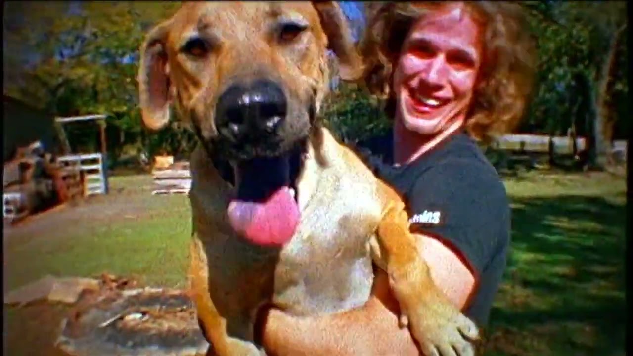 Morgan Wade // Grounded // Etnies // 2008