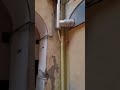 Seconda canna fumaria Pizzeria Pellone Napoli