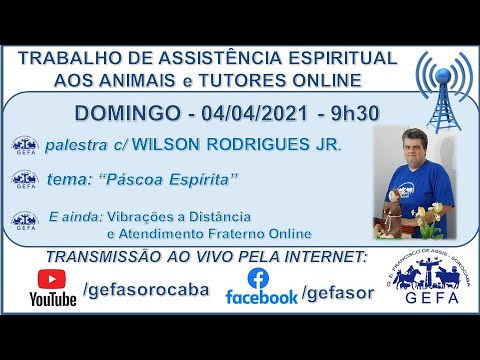 Assista: Trabalho de Assistência Espiritual aos Animais ONLINE - c/ WILSON RODRIGUES JR (04/04/2021)