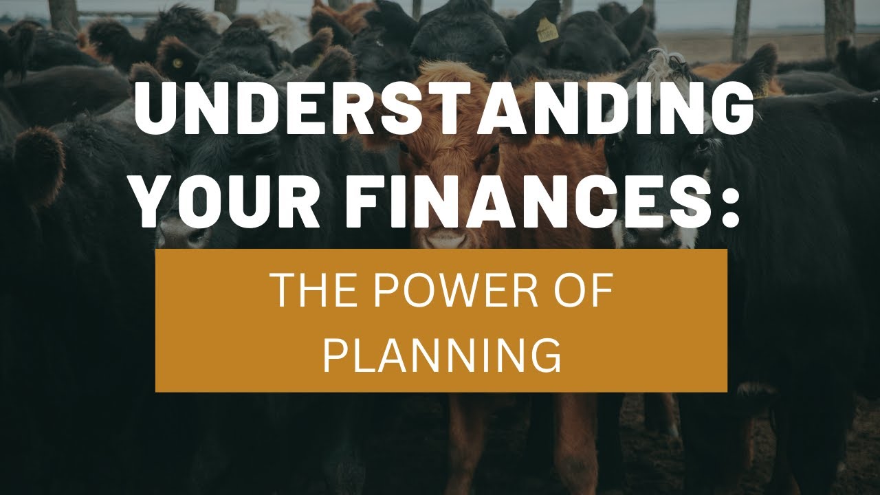 The Power of Planning: Building a Profitable Ranch Business