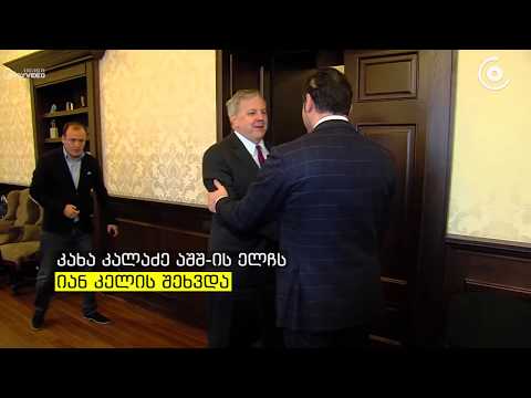 კახა კალაძე აშშ-ის ელჩს შეხვდა