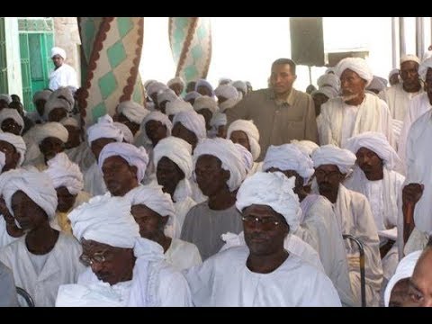 الشيخ علي بشر أهل تشاد يتكلمون العربية لكن المستعمر يتربص