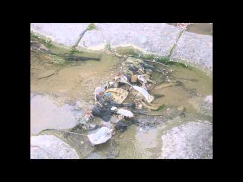 თელავის ხევი