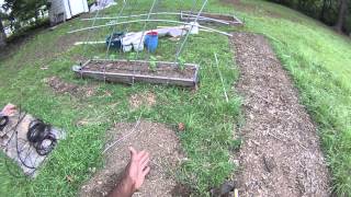 Greenhorn Gardening Growing Tip: Start Small!