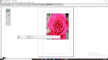 Pagemaker - Crop tool