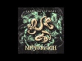 Meshuggah - In Death Is Life/Death