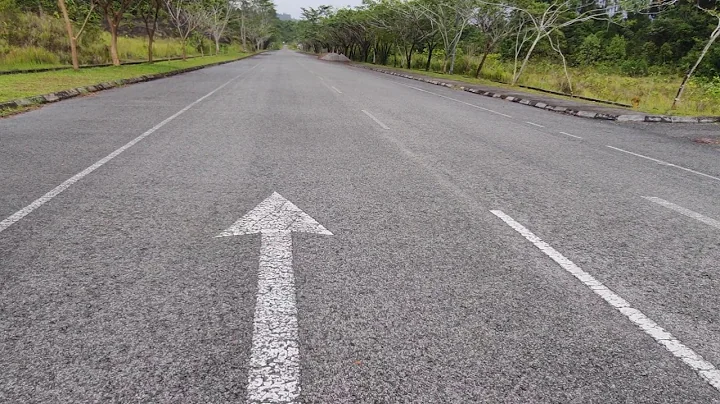 arrma limitless 8s / castle xlx2 + 1717 / 233kmh / 145mph