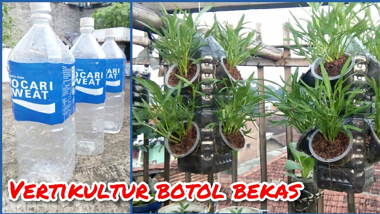 33 Vertikultur Botol Bekas  Images Teknologi dan Alamiah